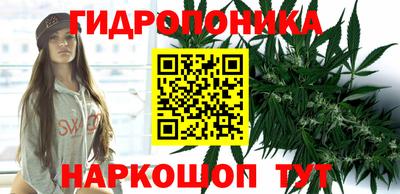 шишки Партизанск